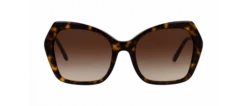 Dolce & Gabbana Dolce&Gabbana - DG4399 - Ecaille